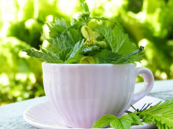 Image for event: Growing a Tea Garden